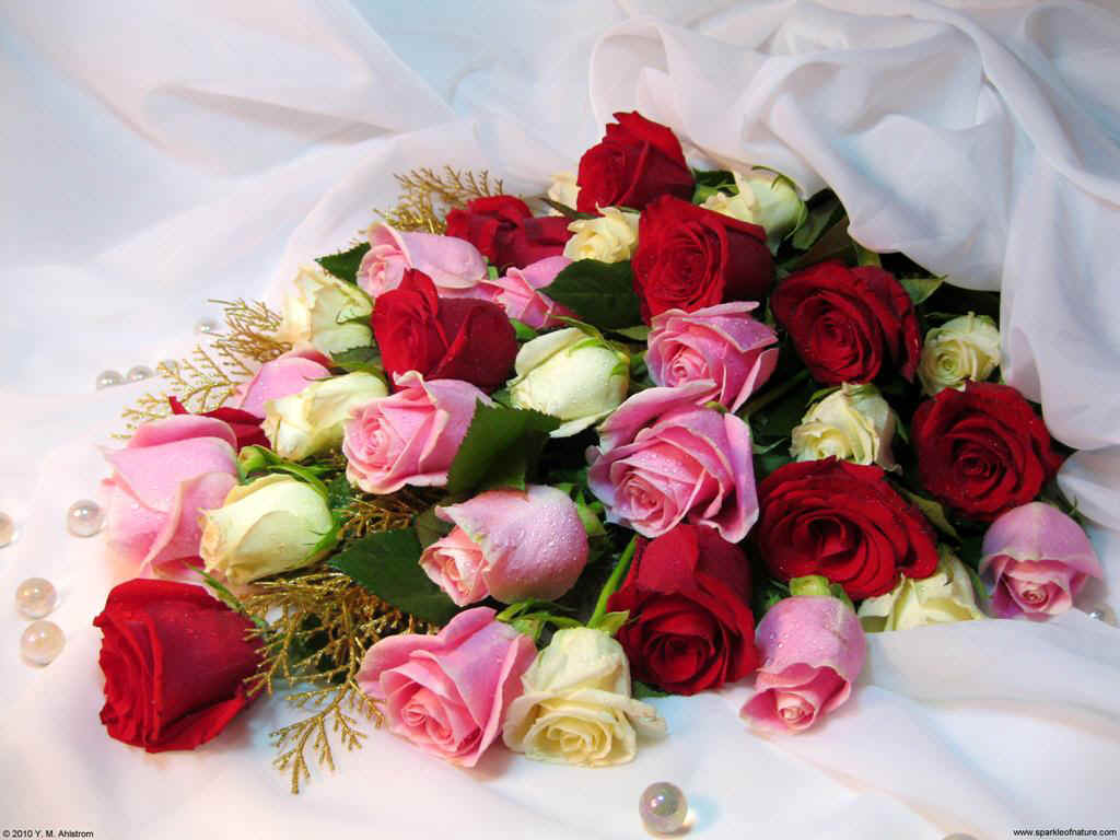 13625 rose bouquet 1024x768.jpg (115965 bytes)