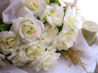 single white rose wallpaper. Cascade of White Roses