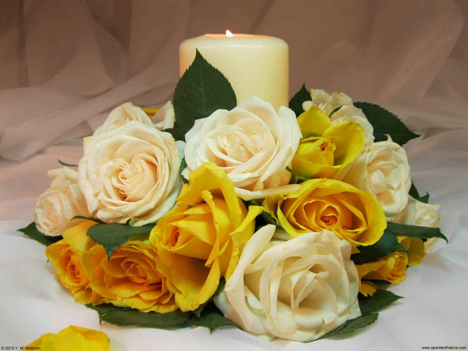 21514 yellow rose candle 1600x1200.jpg (186822 bytes)