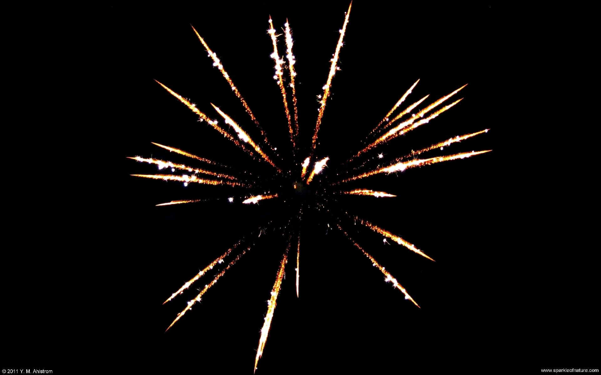 26285 firework w 1920x1200.jpg (133903 bytes)