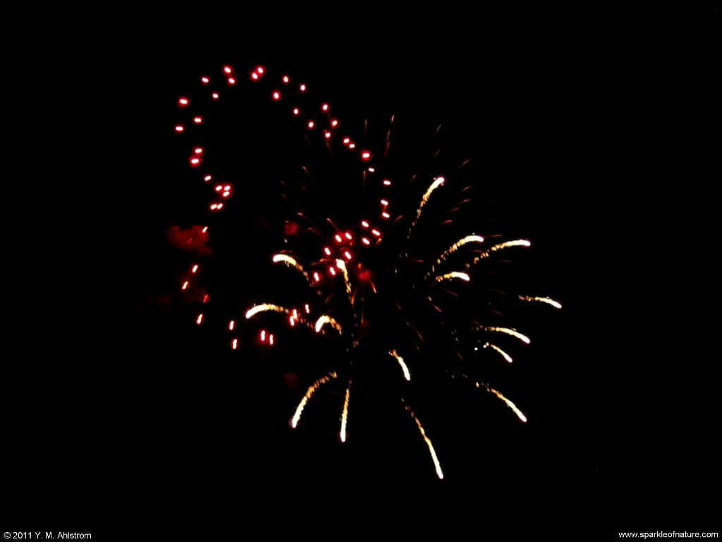 26317 fireworks 1024x768.jpg (48470 bytes)