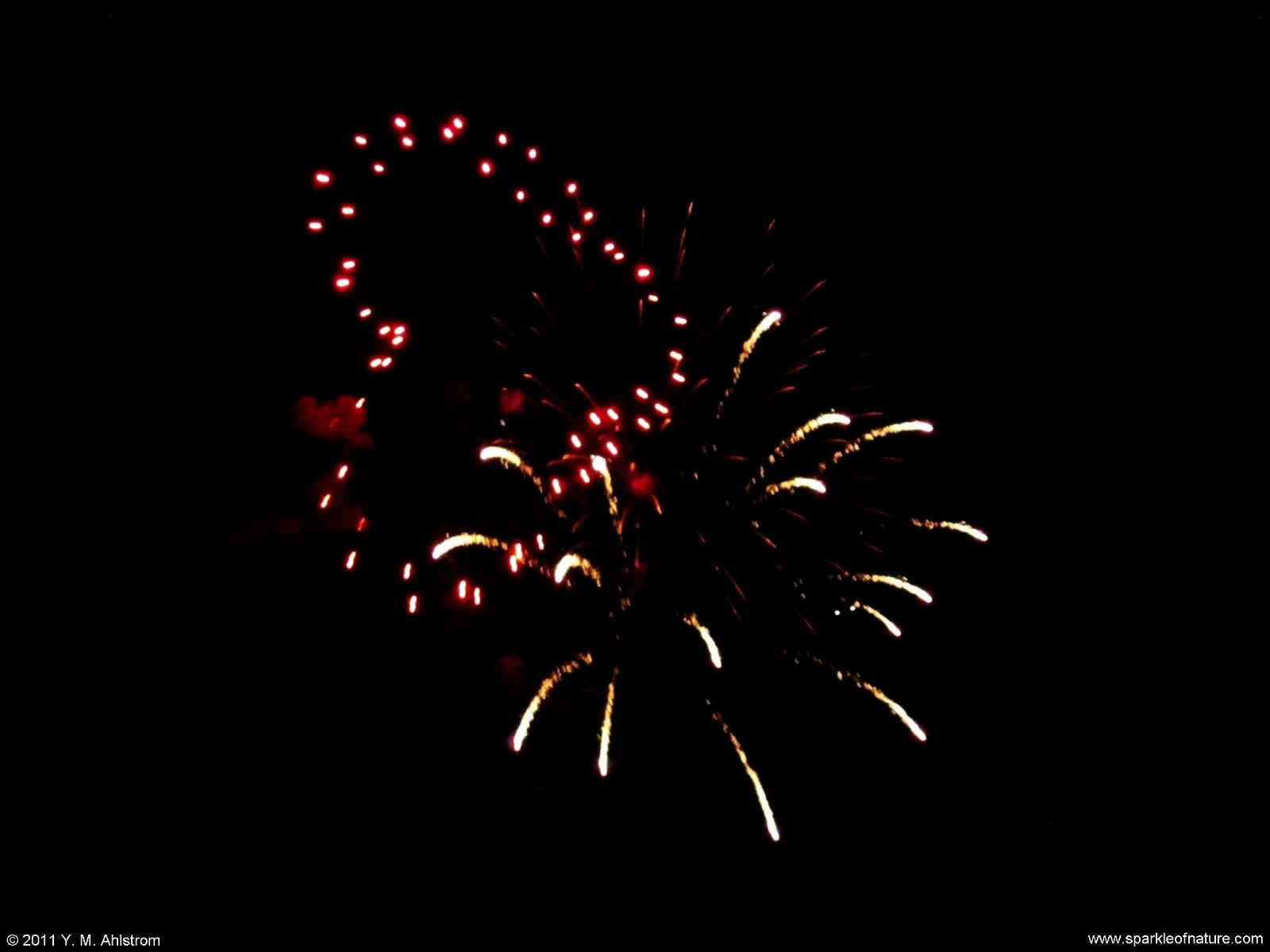 26317 fireworks 1600x1200.jpg (79756 bytes)