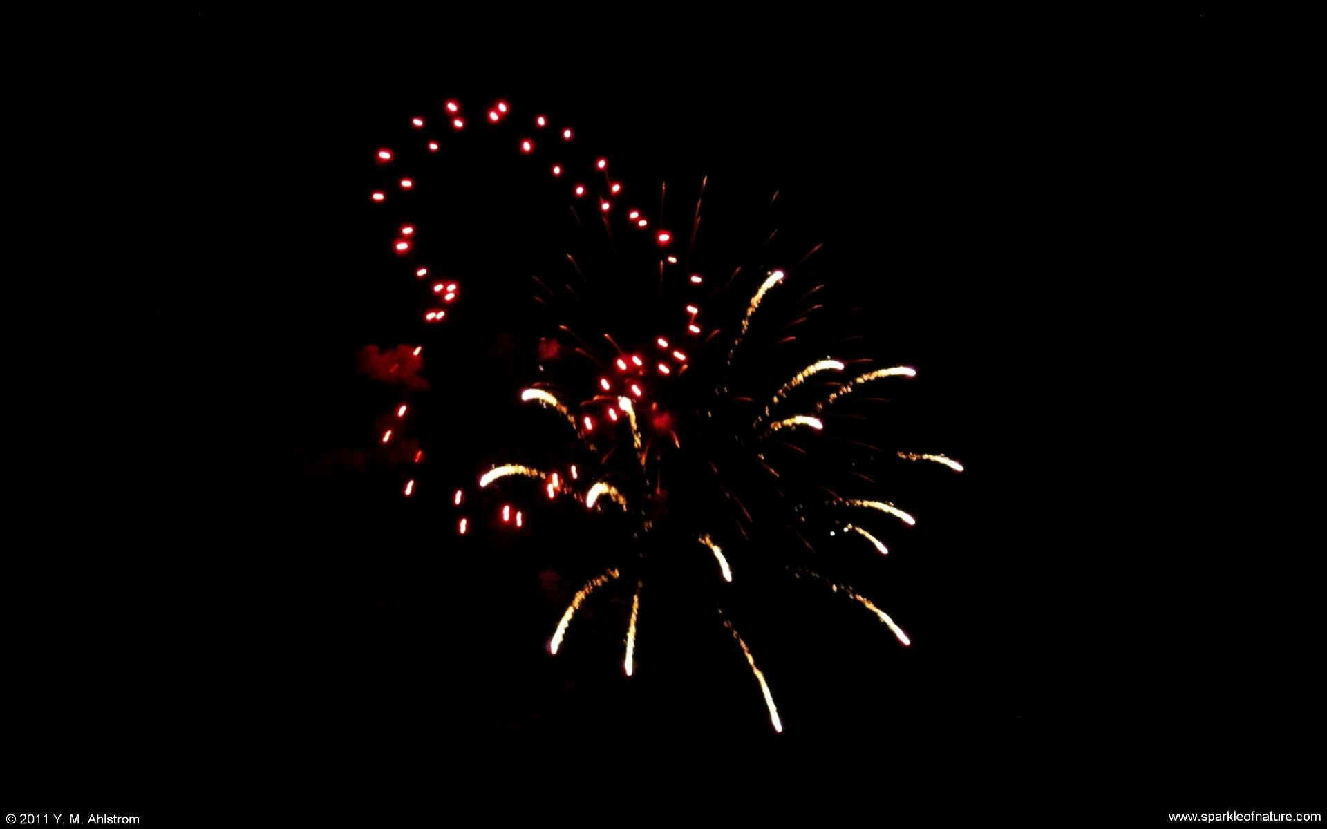 26317 fireworks w 1920x1200.jpg (86925 bytes)