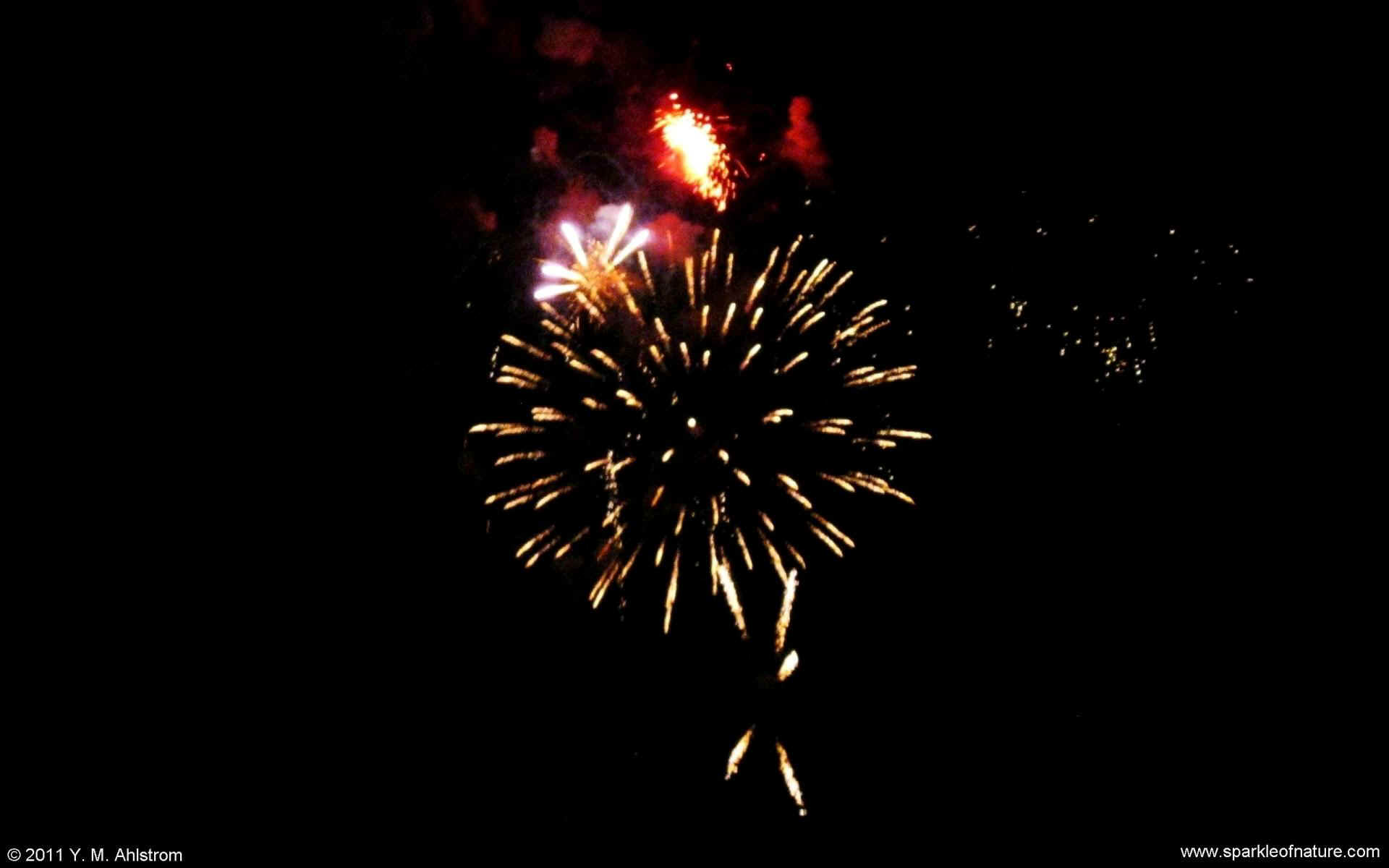 26320 fireworks w 1920x1200.jpg (106545 bytes)