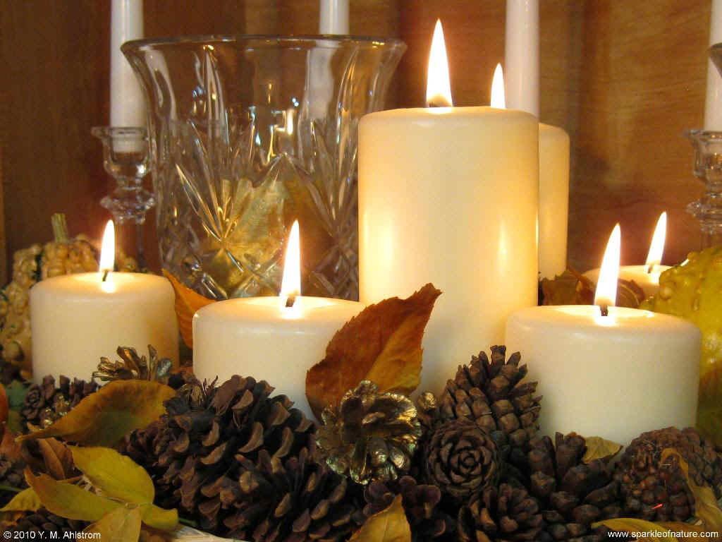 4090 fall candles 1 1024x768.jpg (115409 bytes)