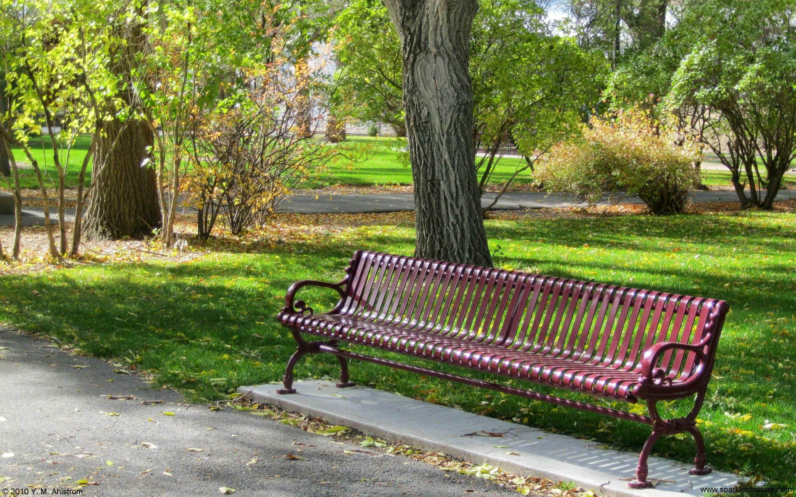 6756 park bench w 2560x1600.jpg (925961 bytes)